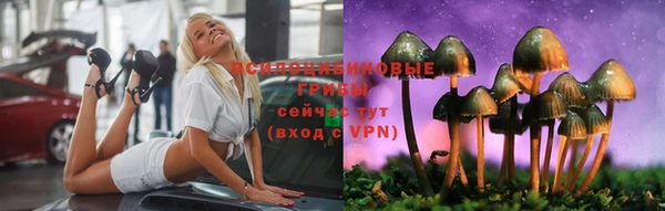 не бодяженный Армянск
