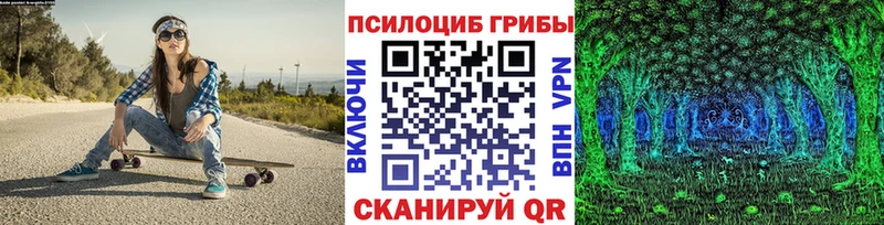 Галлюциногенные грибы Psilocybine cubensis  Пугачёв 